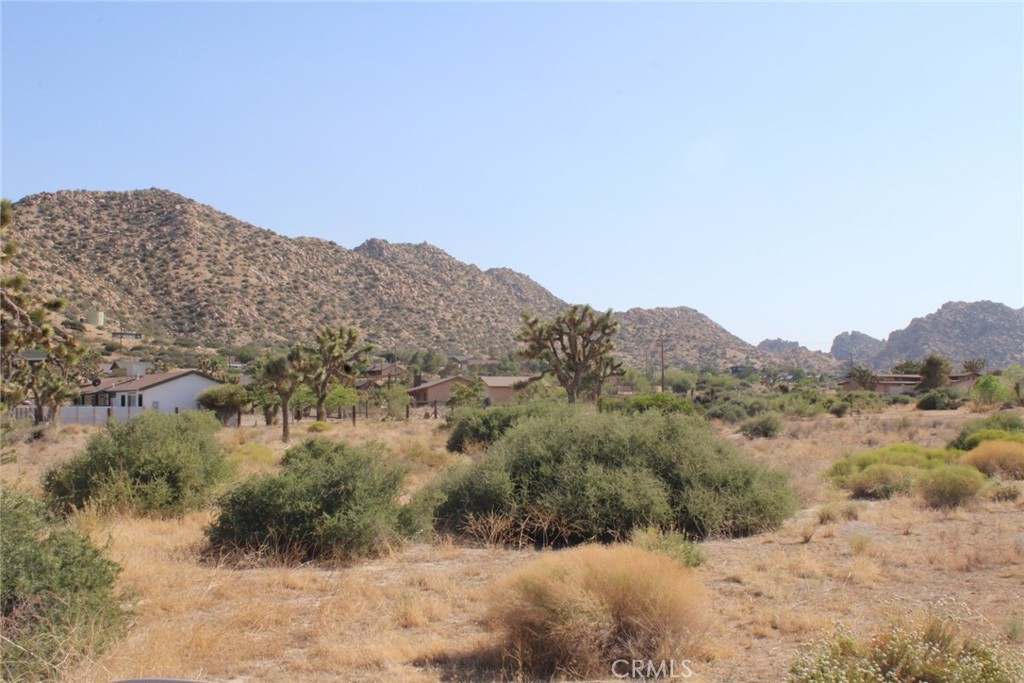 MLS #CV25150716 image #4