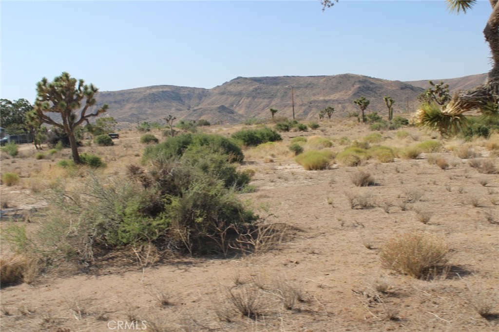 MLS #CV25150716 image #5