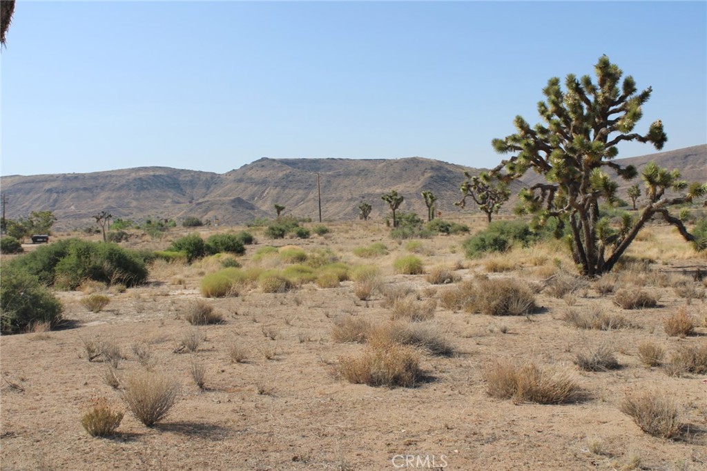 MLS #CV25150716 image #6