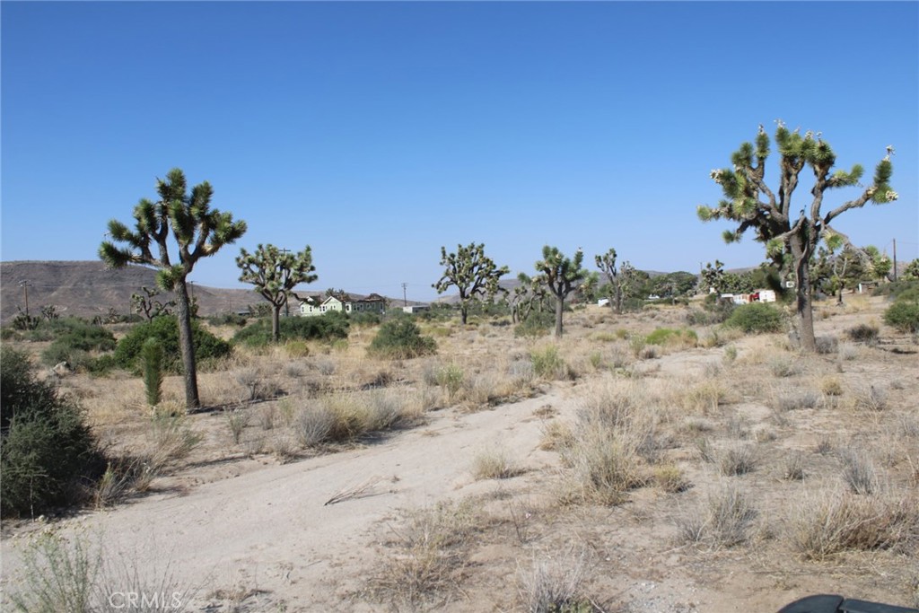 MLS #CV25150716 image #7