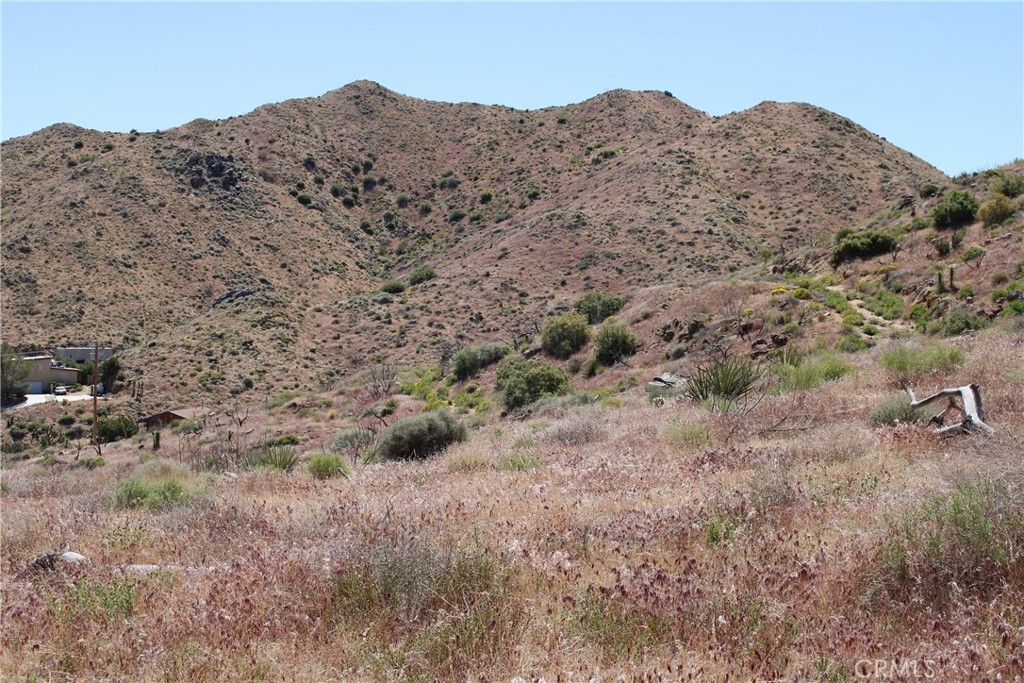 MLS #CV25166047 image #11