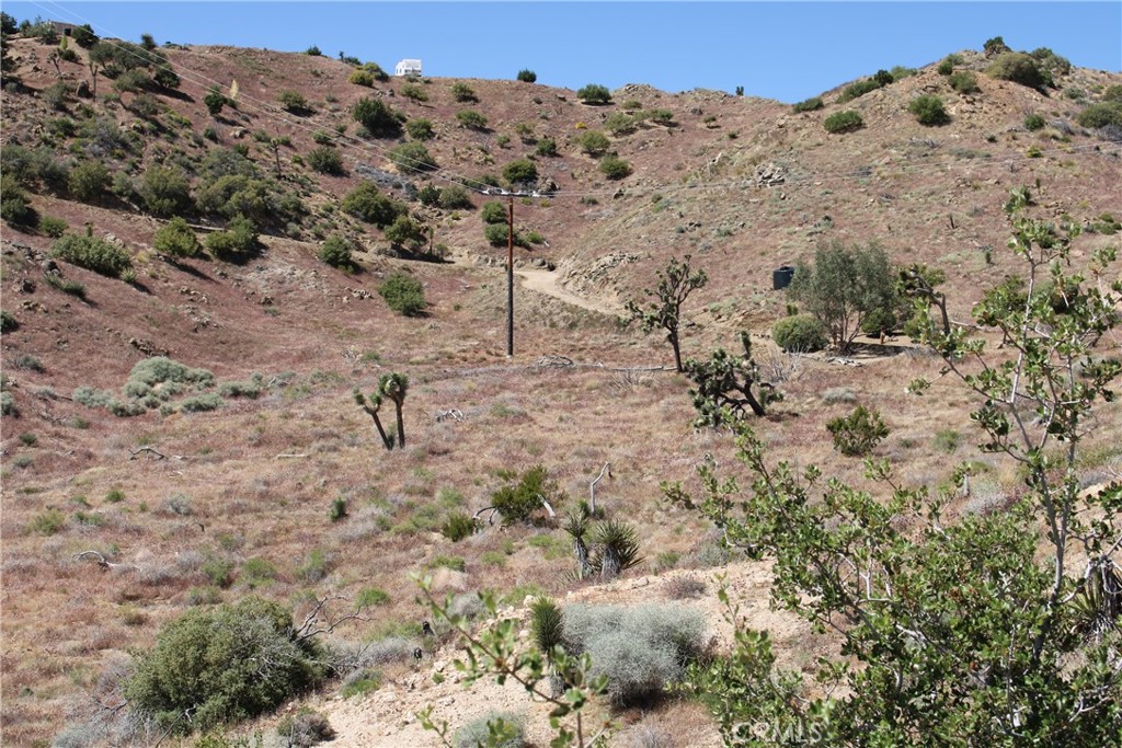 MLS #CV25166047 image #12