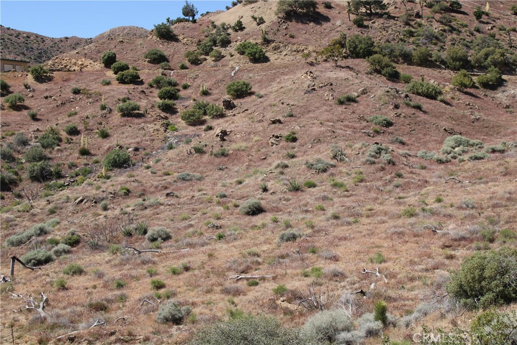 MLS #CV25166047 image #16