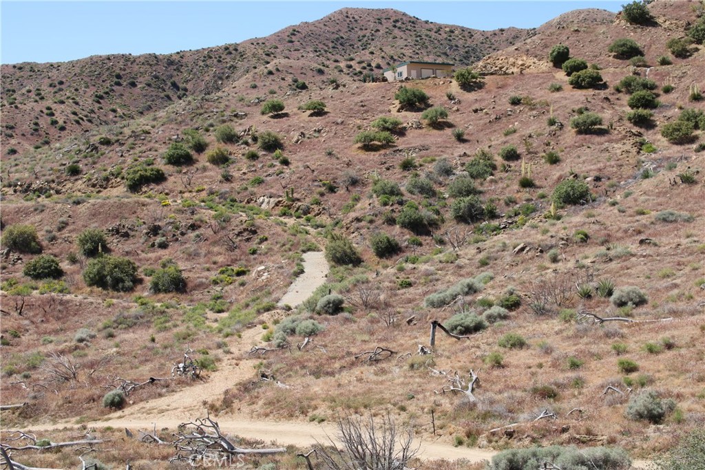 MLS #CV25166047 image #2