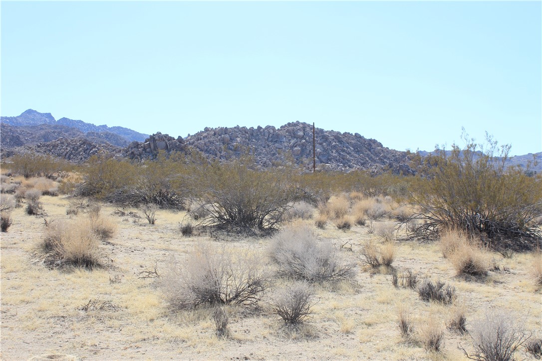 MLS #CV25166463 image #5