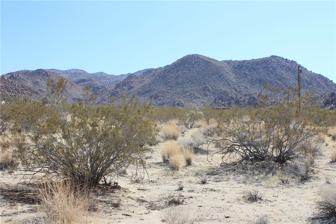 MLS #CV25166463 image #6