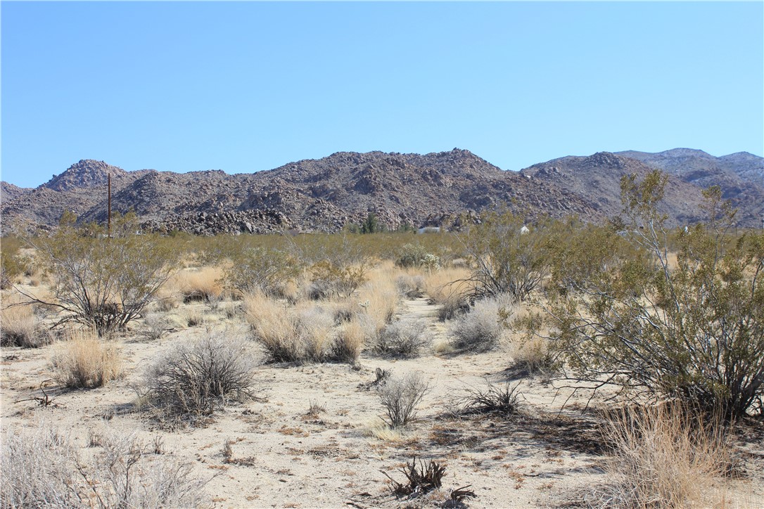 MLS #CV25166463 image #7