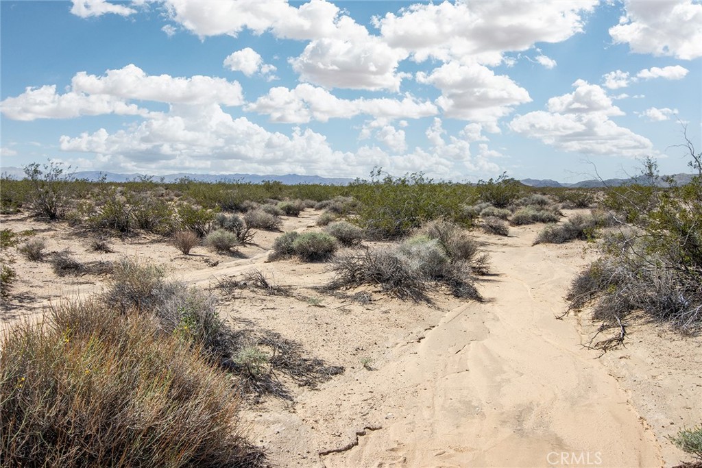 MLS #CV25173959 image #4