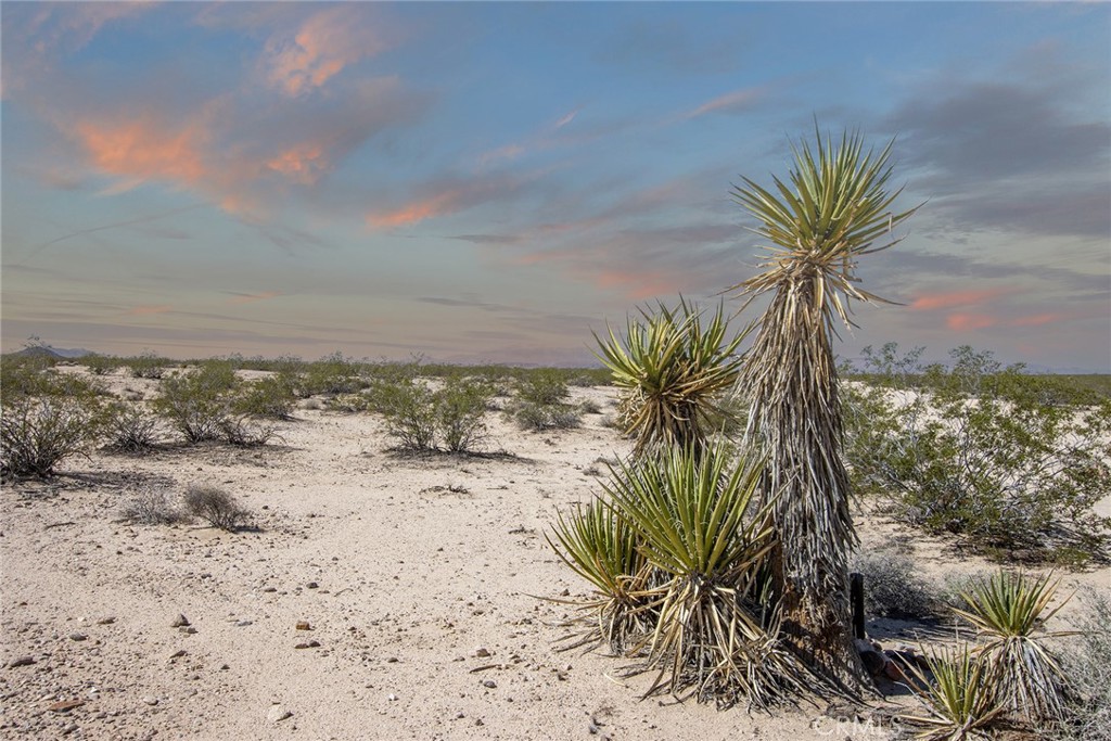 MLS #CV25173959 image #5