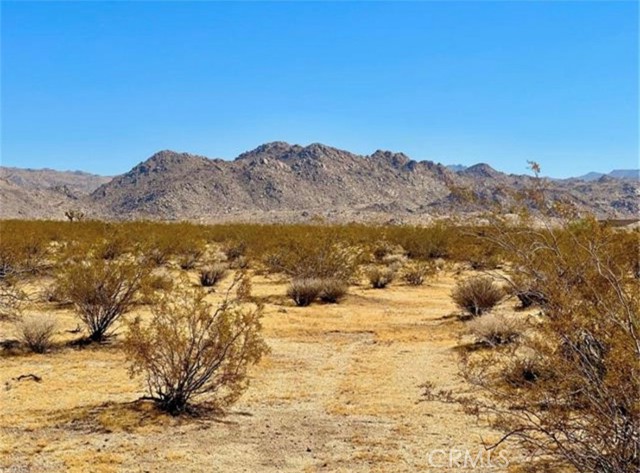 MLS #CV25180736 image #1