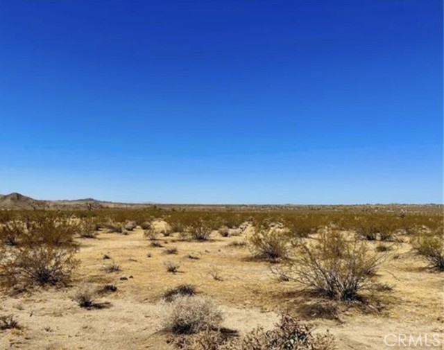 MLS #CV25180736 image #2