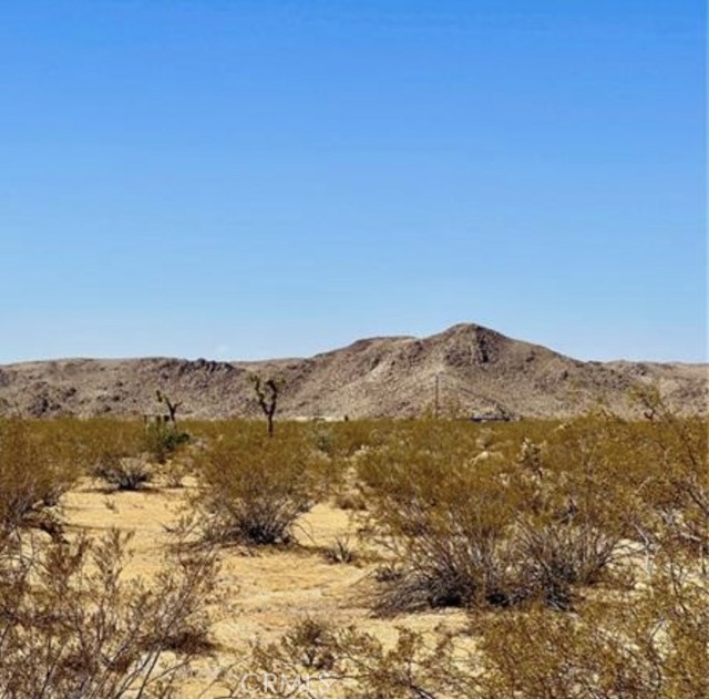 MLS #CV25180736 image #3