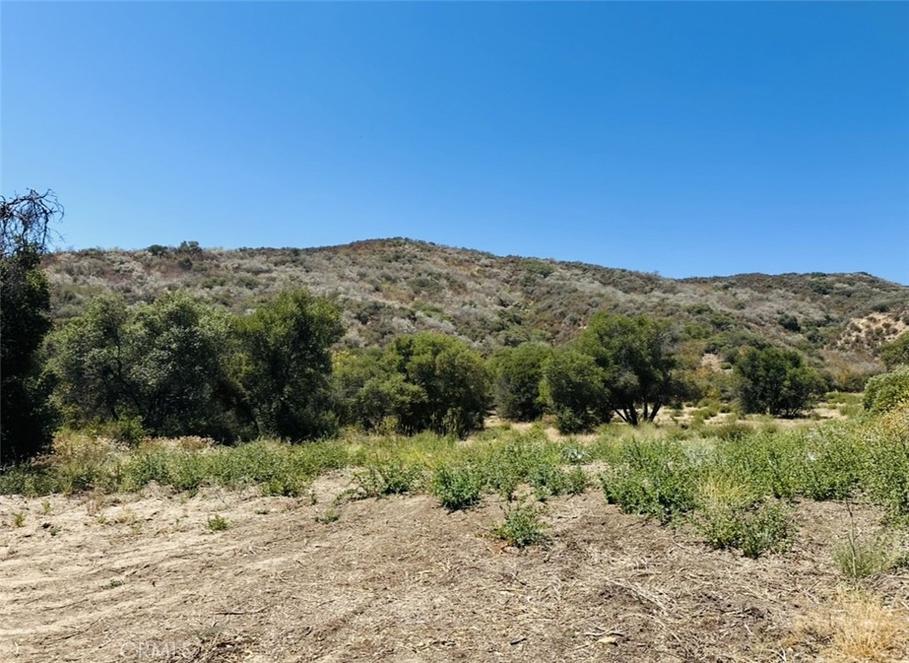 MLS #CV25181909 image #7