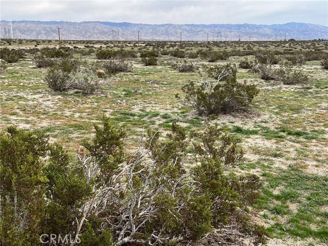 MLS #CV25216343 image #15