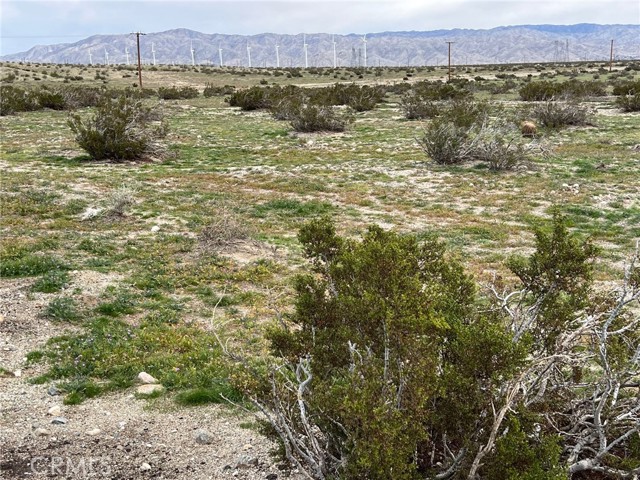 MLS #CV25216343 image #16