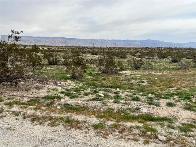 MLS #CV25216343 image #5