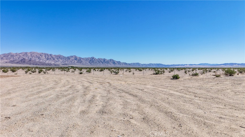 MLS #CV25236416 image #9