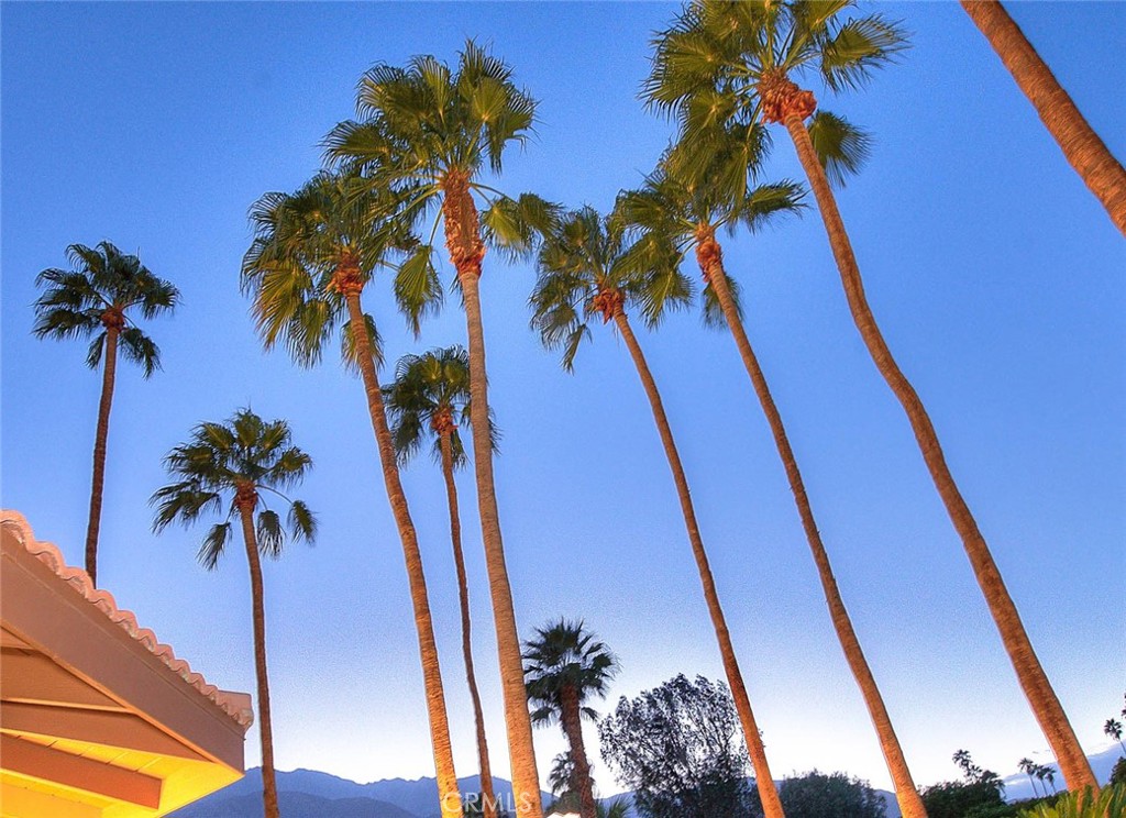 MLS #CV25244852 image #40