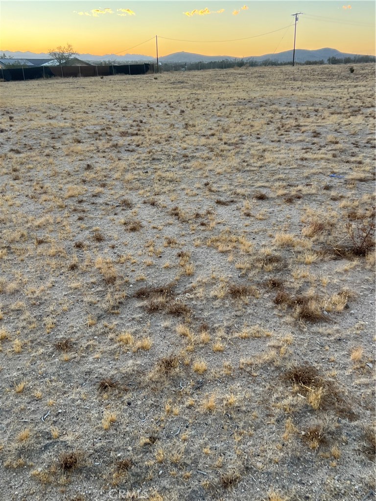 MLS #DW25056872 image #1