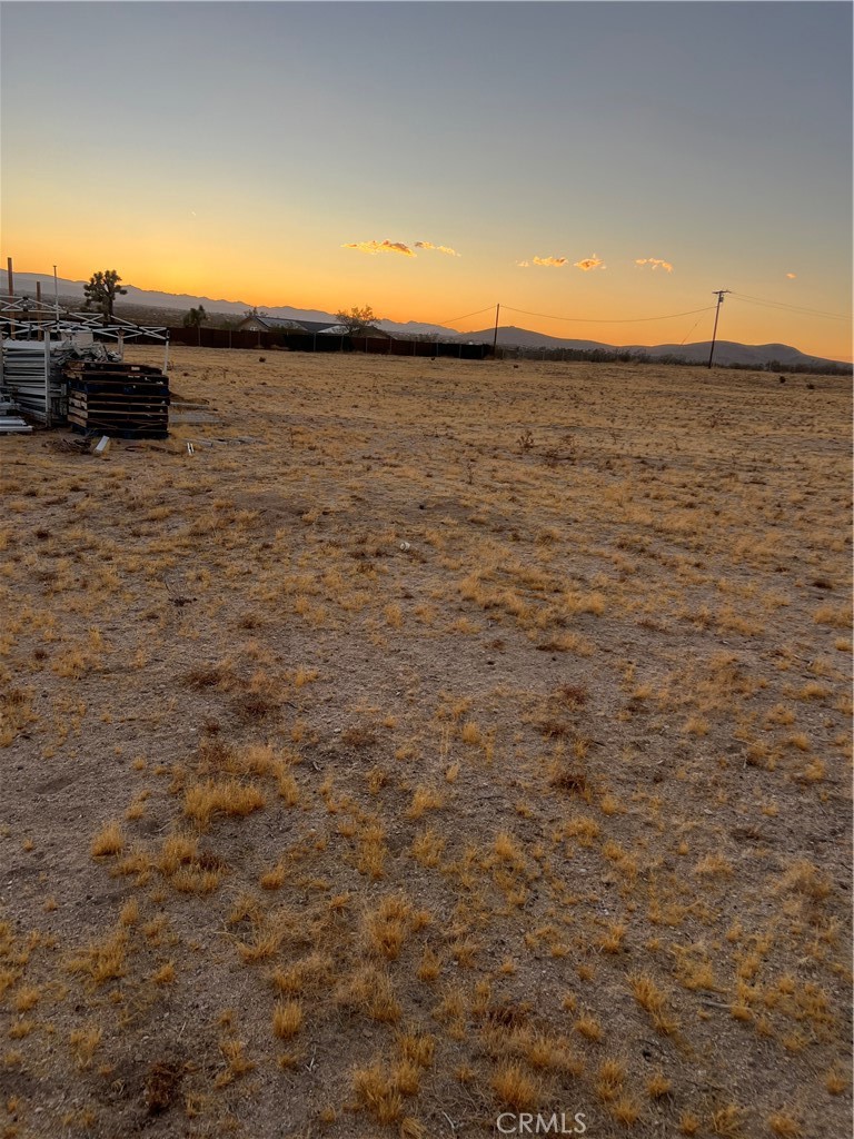 MLS #DW25056872 image #2