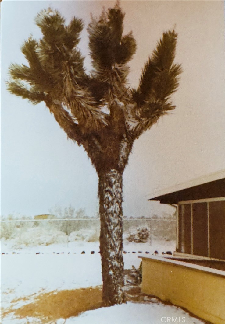 MLS #DW25130030 image #13