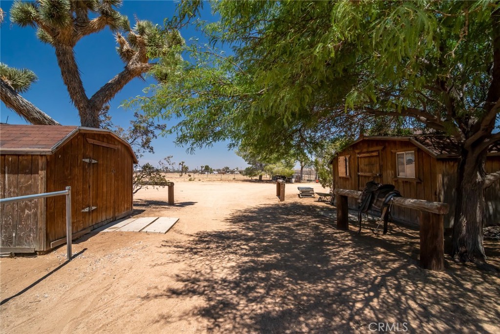 MLS #DW25130030 image #16