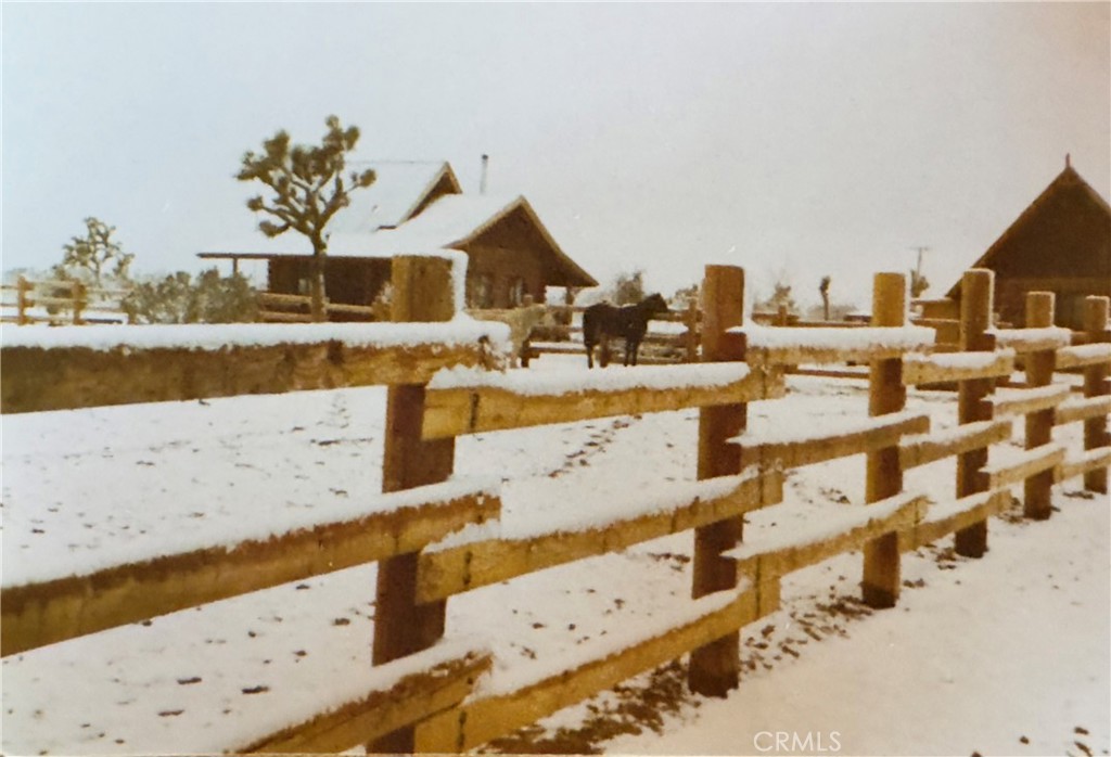 MLS #DW25130030 image #55