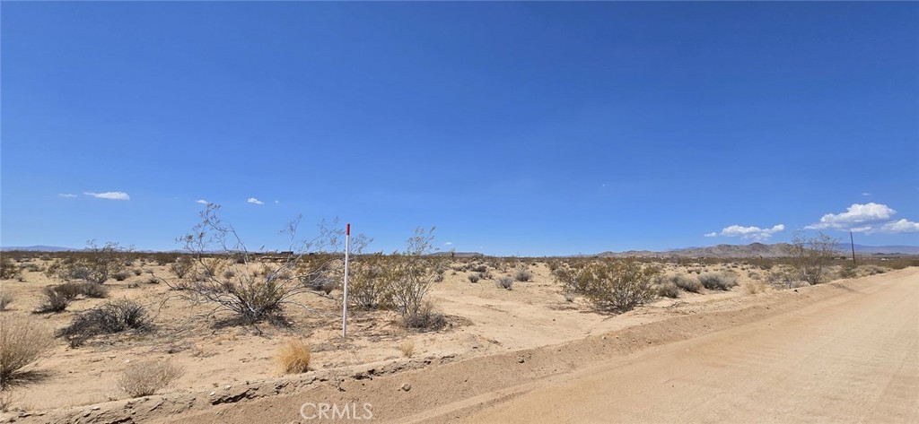 MLS #DW25143985 image #2