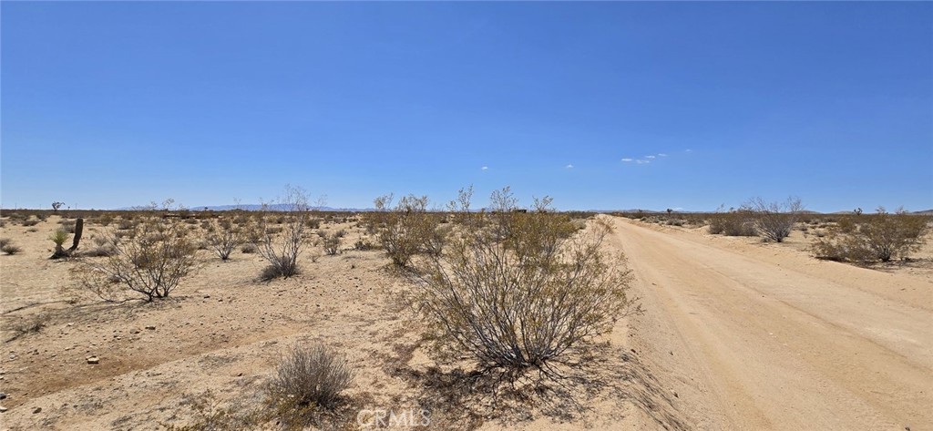 MLS #DW25143985 image #4