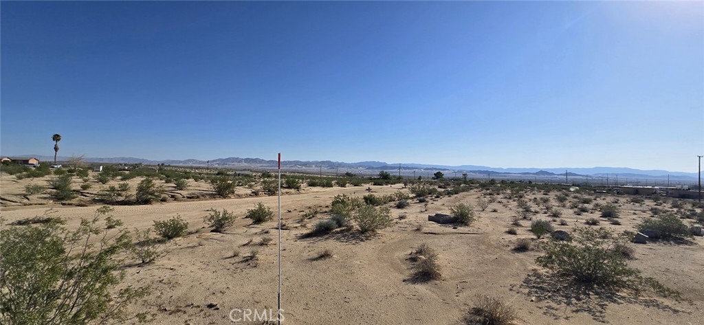 MLS #DW25164109 image #4