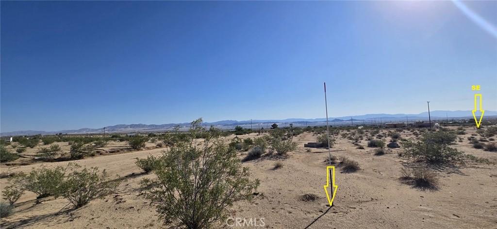 MLS #DW25164109 image #5