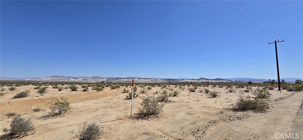 MLS #DW25164142 image #4