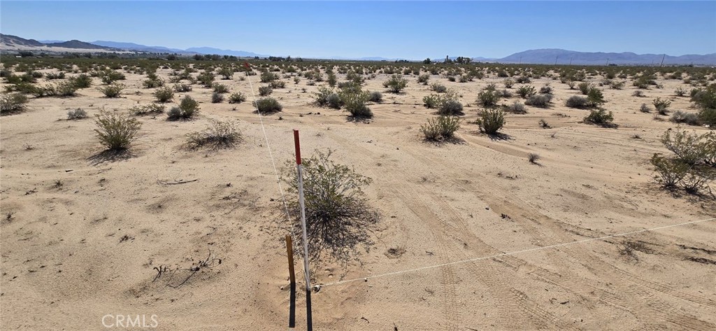 MLS #DW25164142 image #6