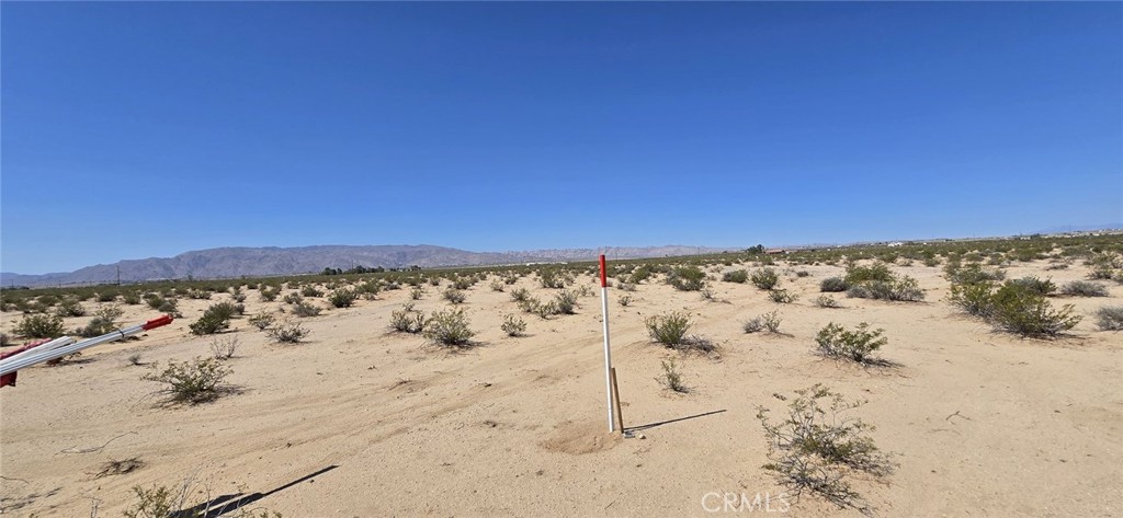 MLS #DW25164142 image #9