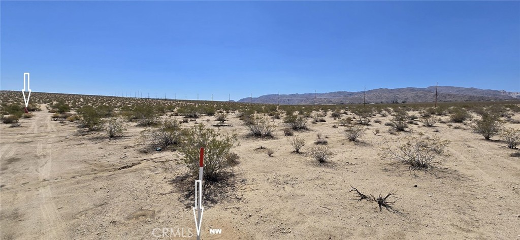 MLS #DW25164154 image #2