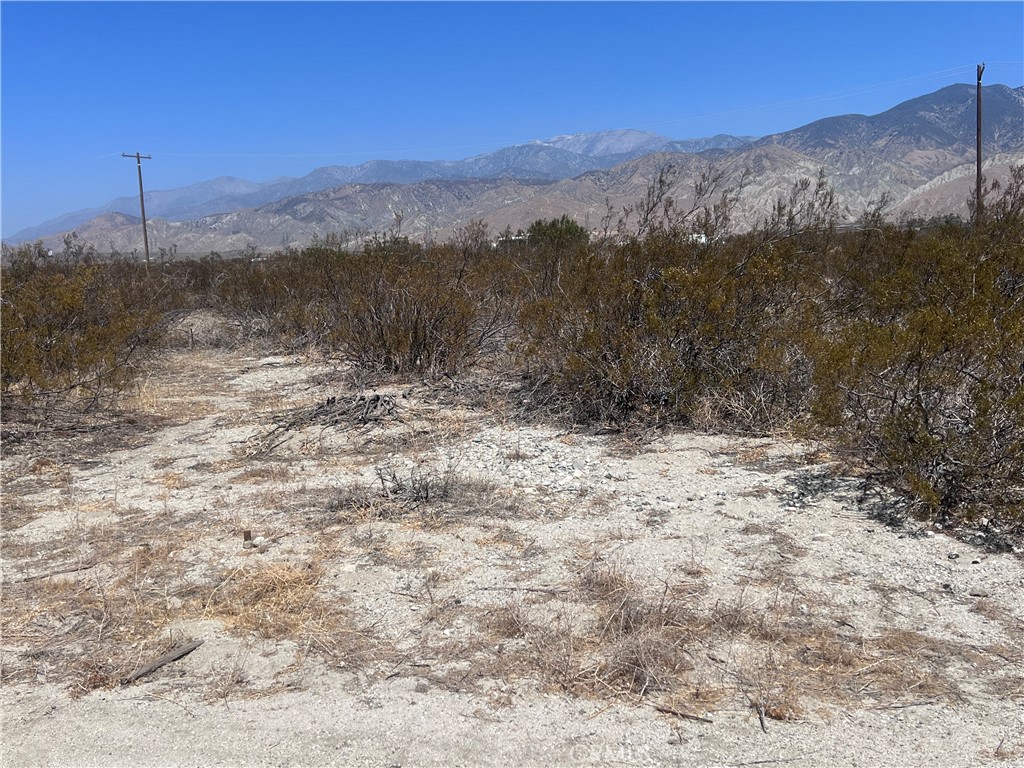 MLS #DW25170317 image #1