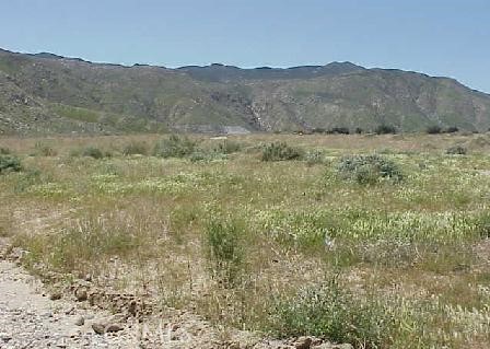 MLS #EV23090756 image #0