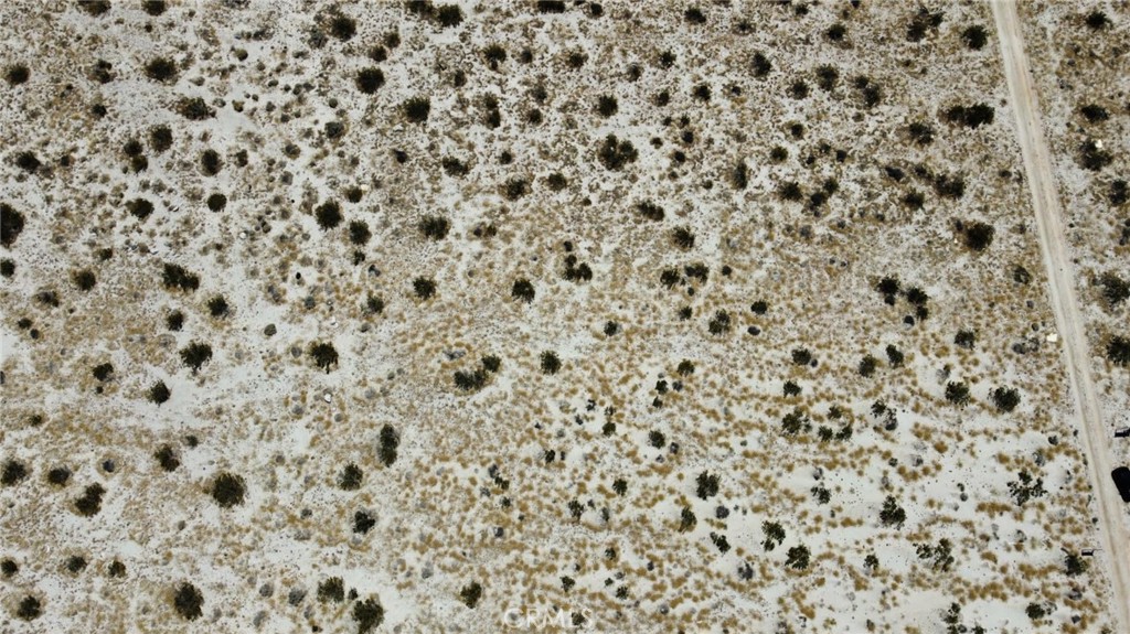 MLS #EV24026031 image #6