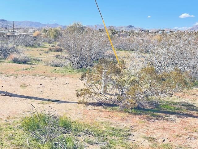 MLS #EV24072903 image #4