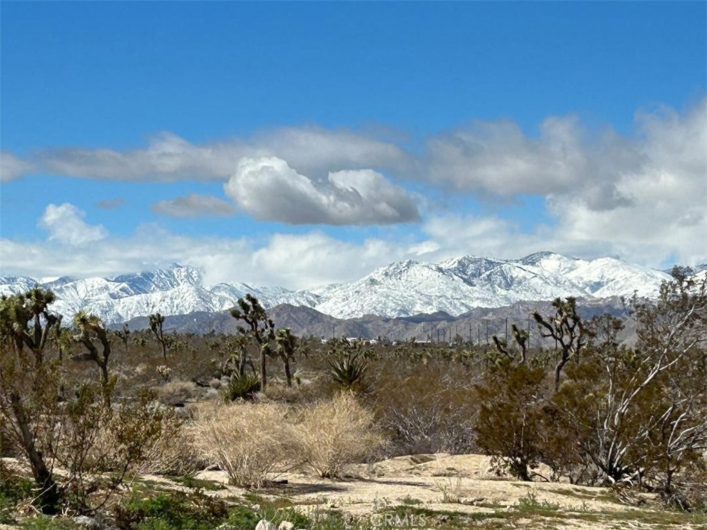 MLS #EV24096027 image #7