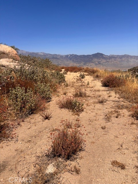 MLS #EV24176344 image #3