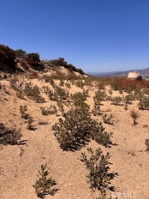 MLS #EV24176344 image #5