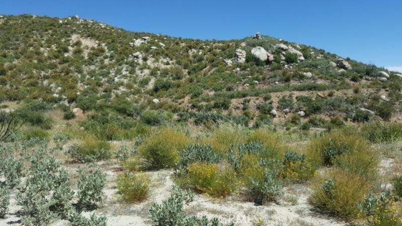 MLS #EV24190146 image #1