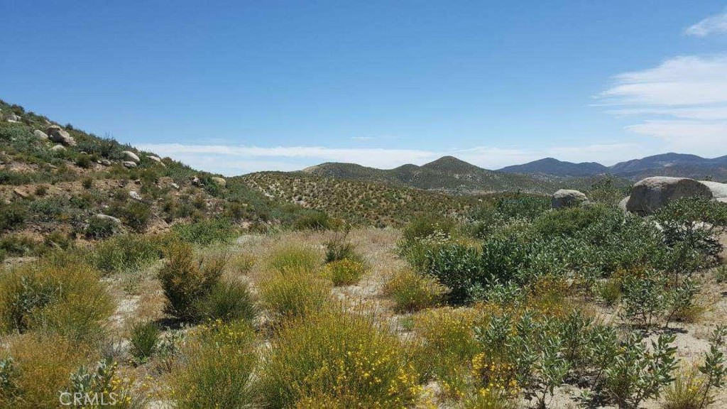 MLS #EV24190146 image #3