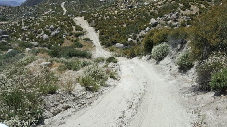 MLS #EV24190146 image #5