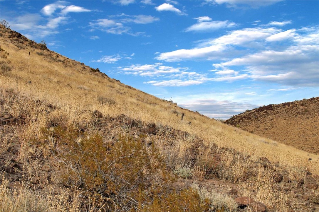 MLS #FR24175327 image #10