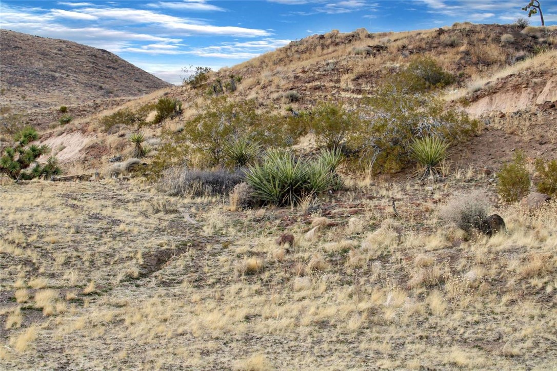 MLS #FR24175327 image #11