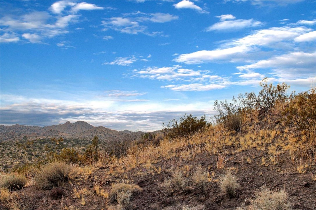 MLS #FR24175327 image #12