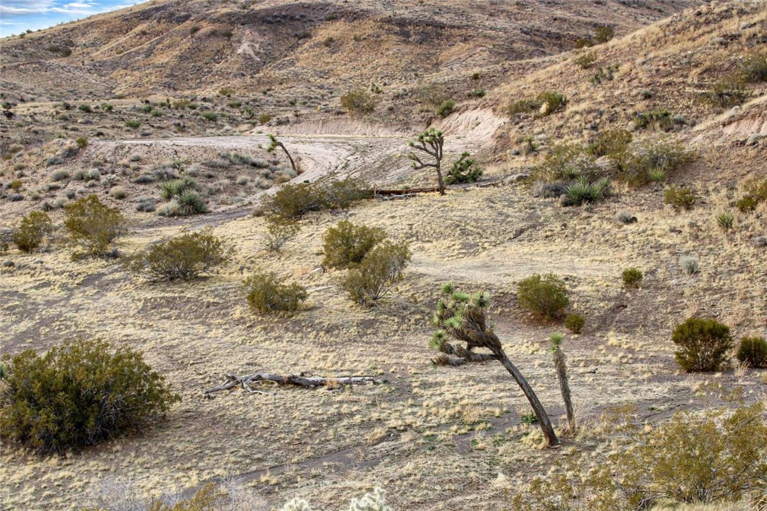 MLS #FR24175327 image #6