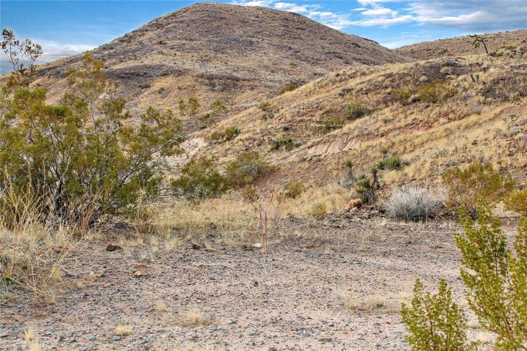 MLS #FR24175327 image #7